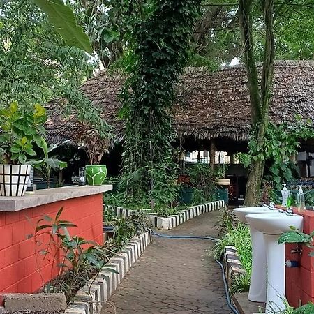 Ibrahim Garden Hostel Arusha Exterior photo