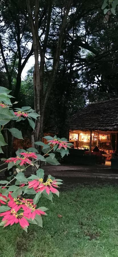 Ibrahim Garden Hostel Arusha Exterior photo